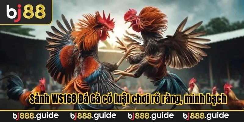 Từng nội dung quy tắc đều rõ ràng, rành mạch