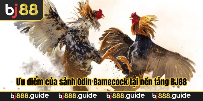 Ưu điểm của sảnh Odin Gamecock tại nền tảng BJ88