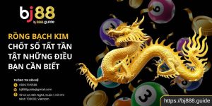 Rồng Bạch Kim Chốt Số Tất Tần Tật Những Điều Bạn Cần Biết