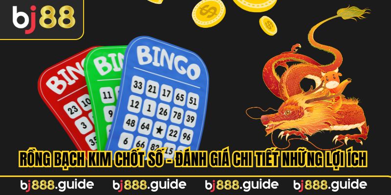 Rồng bạch kim chốt số - Đánh giá chi tiết những lợi ích
